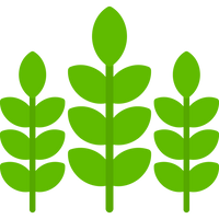 Natural Herbal Blend